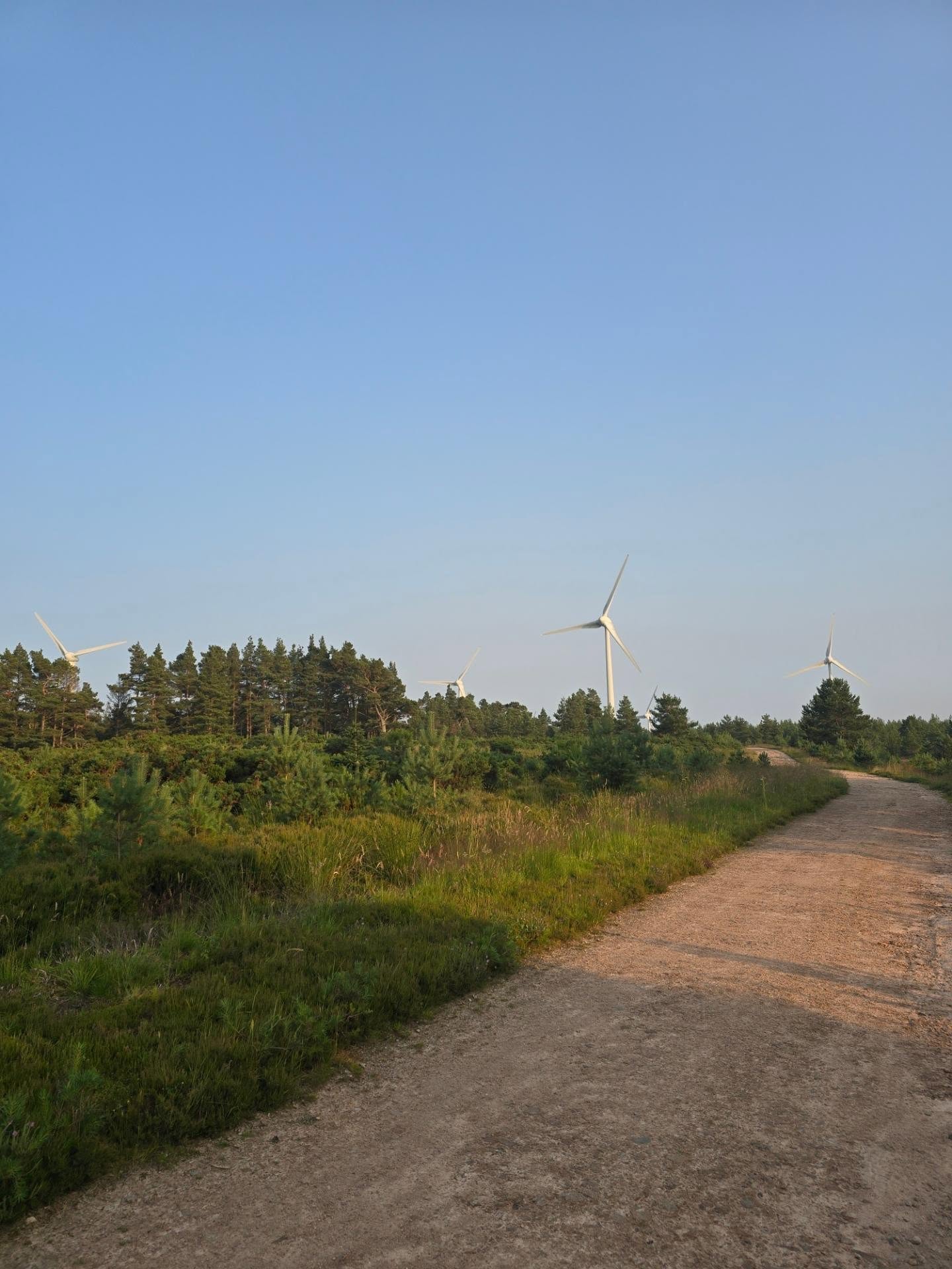 Logie Windfarm    