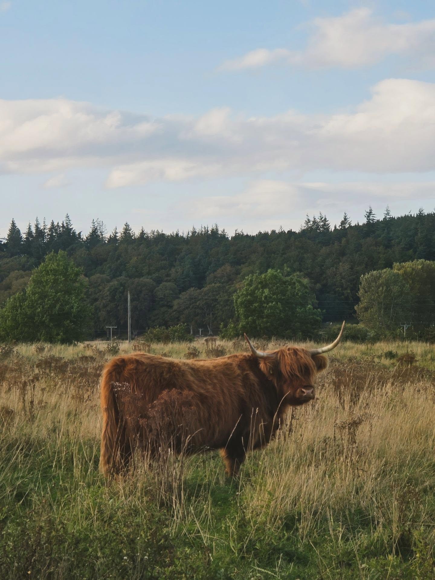 Heilan Coo.